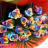 Regenboog rozen