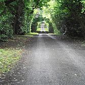 Reizen Ierland