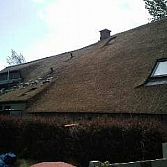 Renoveren
