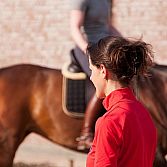 Ruitertraining