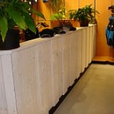 STEIGERHOUT BALLIE
