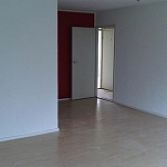 Sierpleister/ spachtelputz