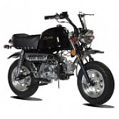 Skyteam Monkey Gorilla 50cc 125cc