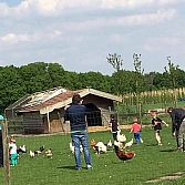 Speeltuin en Kinderboerderij 