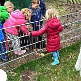 Speeltuin en Kinderboerderij 