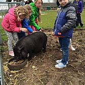 Speeltuin en Kinderboerderij 