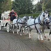 Sprookjeskoets 