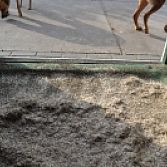 Stalraster . paardenbox raster