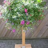 Terrasbloempaal