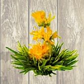 Theebloemen