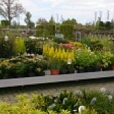 Tuin/adviescentrum Lepona