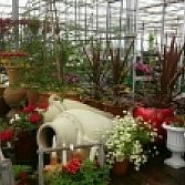 Tuin/adviescentrum Lepona