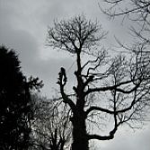 Tuinonderhoud