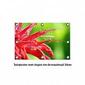 Tuinposter / Spandoek