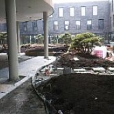 Tuinrenovatie