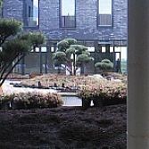 Tuinrenovatie