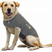 Tundershirt