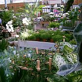Uw complete, gezellige en overzichtelijke tuincentrum in de regio!