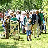Verjaardagen, familiefeesten, jubileumfeesten, vrijgezellenfeesten en kinderfeestjes