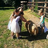 Verjaardagen, familiefeesten, jubileumfeesten, vrijgezellenfeesten en kinderfeestjes