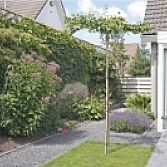 Voorbeeld tuinen