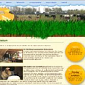 Webdesign