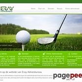 Websiteles website portfolio