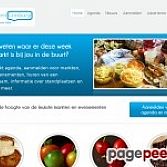 Websiteles website portfolio