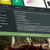 Websites