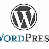 WordPress specialist