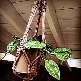 Workshop Macrame