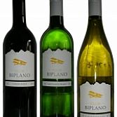 Yellow Biplano - Domaine Sol de Fuego - Central Valley - Chili