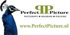 PerfectPicture.nl
