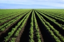 Agri-Financiering