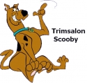 Trimsalon Scooby