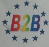 B2B Sneltransport Koeriers