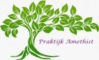 Praktijk-Amethist