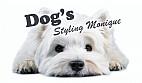 Dogs Styling Monique