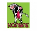 Noesies