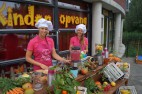 KDV VIPKids in Gouda