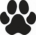 Mollie hondenservice -puppycursus en hondenoppas-