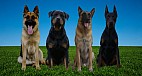 360 Lifestyle Security Company