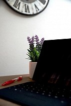 Bureau M