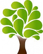 Stichting Adopt a Tree in Nepal