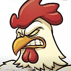 The barnyard roosters