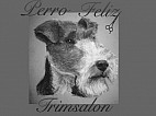 Trimsalon Perro Feliz