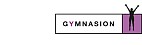 Gymnasion Joure