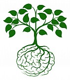 Green Tinted Health Consultancy