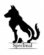 Specimal