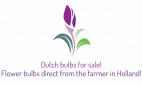Dutch bulbs for sale
